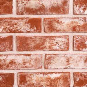 El Yapımı Kaplama Tuğla 302-White Red